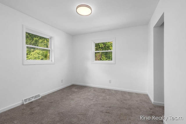 33250 Bernice Ave, Paw Paw, MI 49079 - photo 9