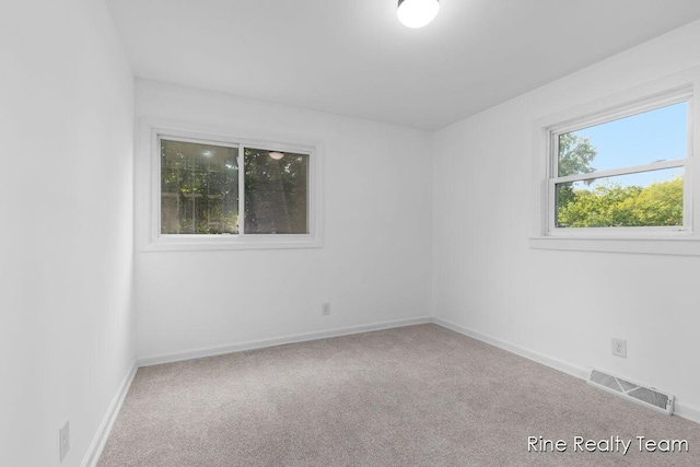 33250 Bernice Ave, Paw Paw, MI 49079 - photo 12