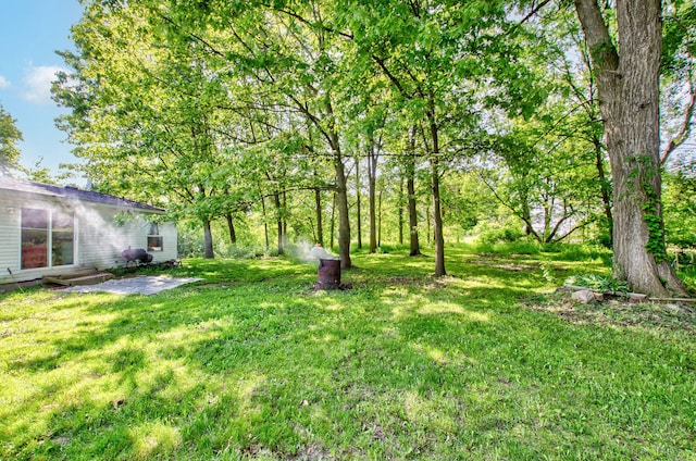 12650 State Rd, Leslie, MI 49251 - photo 23