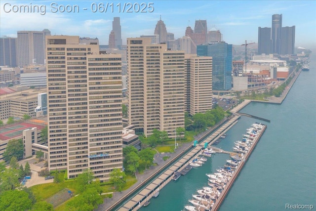 1001 W Jefferson Ave Unit 2I, Detroit, MI 48226 - bird's eye view of skyline, a marina, and a large body of water