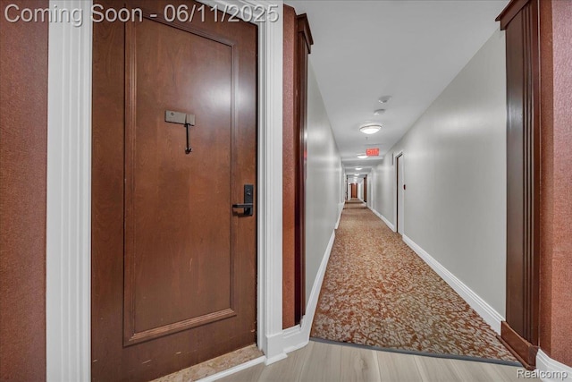 1001 W Jefferson Ave Unit 2I, Detroit, MI 48226 - corridor with carpet flooring, baseboards, and wood finished floors