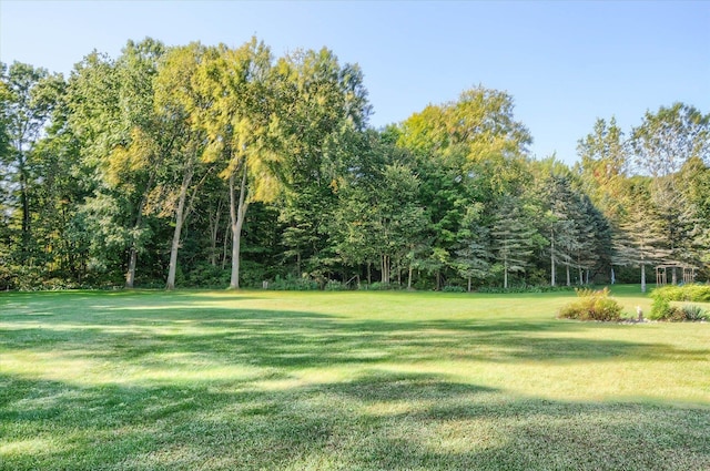 5379 N Irish Rd, Davison, MI 48423 - view of green lawn