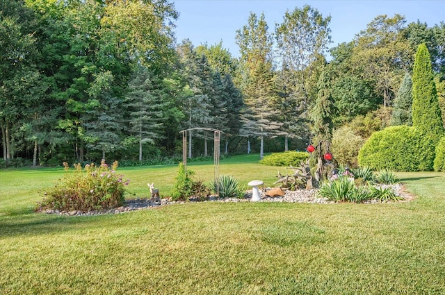 5379 N Irish Rd, Davison, MI 48423 - view of green lawn featuring a forest view