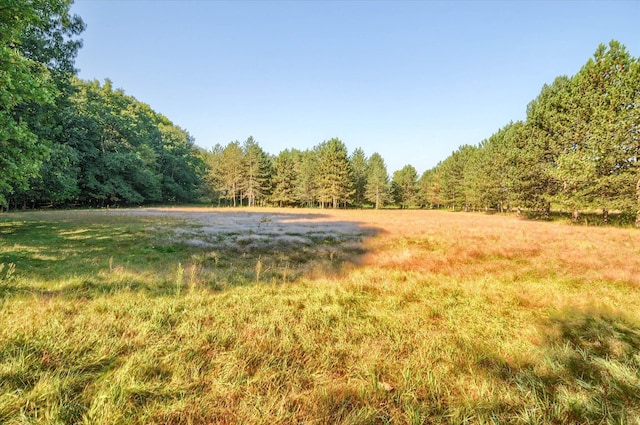 5379 N Irish Rd, Davison, MI 48423 - view of yard featuring a wooded view
