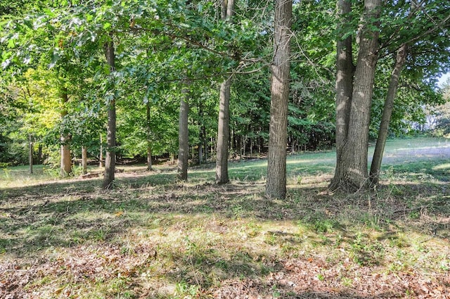 5379 N Irish Rd, Davison, MI 48423 - view of nature