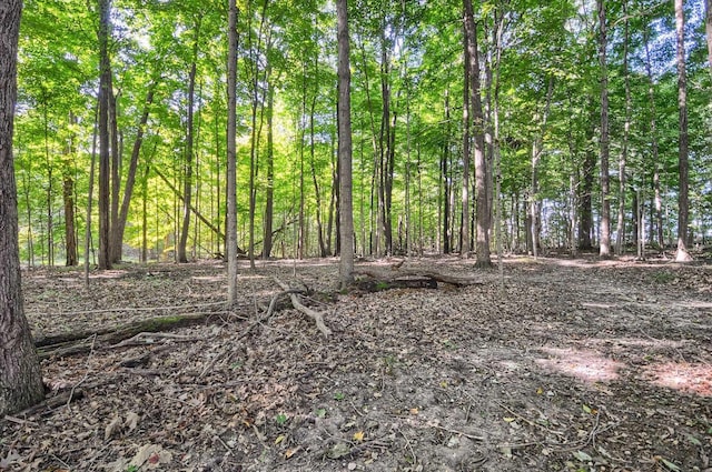 5379 N Irish Rd, Davison, MI 48423 - view of wooded area