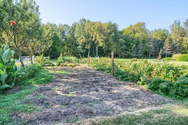 5379 N Irish Rd, Davison, MI 48423 - view of yard