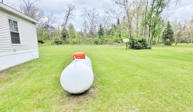 8326 S Delaware Ave, Baldwin, MI 49304 - view of grassy yard