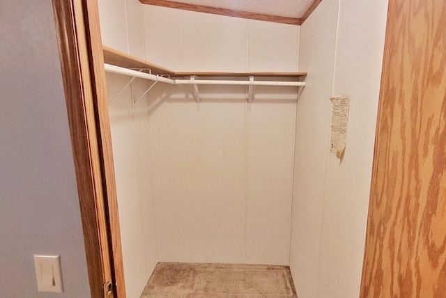 8326 S Delaware Ave, Baldwin, MI 49304 - spacious closet featuring carpet