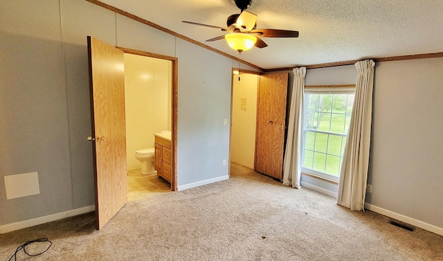 8326 S Delaware Ave, Baldwin, MI 49304 - unfurnished bedroom with vaulted ceiling, light carpet, ornamental molding, ensuite bathroom, and a textured ceiling