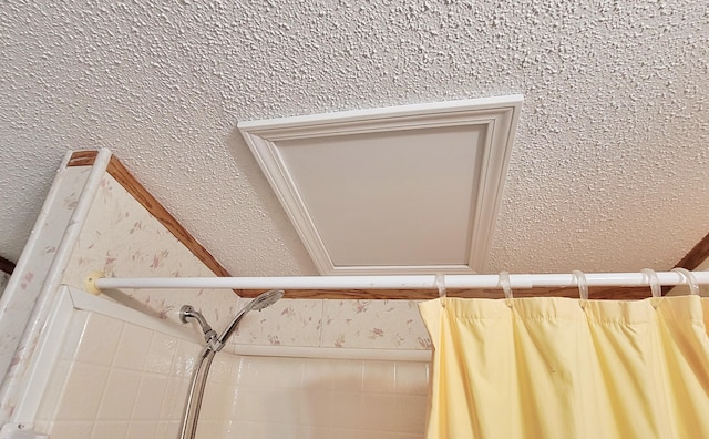 8326 S Delaware Ave, Baldwin, MI 49304 - detailed view of curtained shower and a textured wall