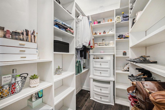 123 Oneida St SW, Wyoming, MI 49548 - spacious closet featuring dark wood finished floors