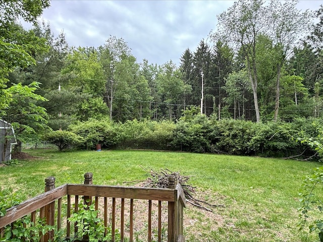 1965 E Kimmel Rd, Jackson, MI 49201 - view of grassy yard featuring a forest view