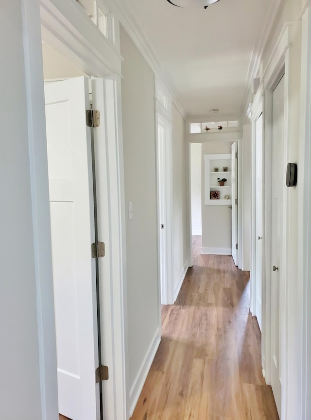 121 S Marshall St, New Buffalo, MI 49117 - corridor with ornamental molding, light wood-type flooring, and baseboards