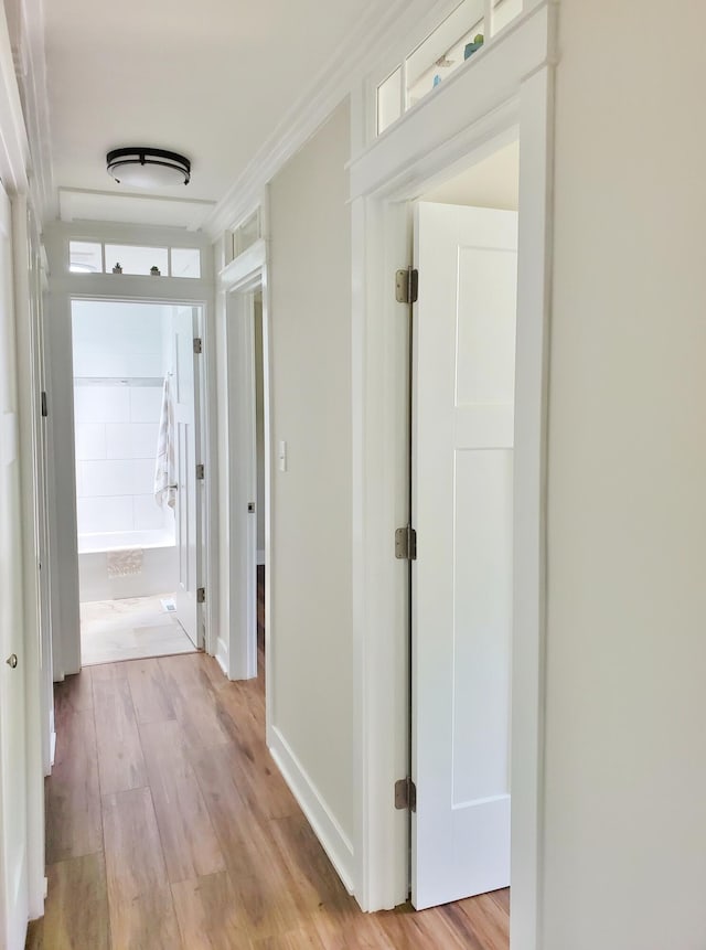 121 S Marshall St, New Buffalo, MI 49117 - hallway with light wood-style flooring