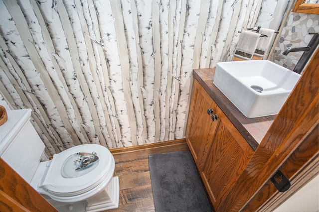 226 Sunset Ave NW, Grand Rapids, MI 49504 - bathroom featuring vanity, toilet, and wood finished floors