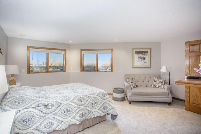 226 Sunset Ave NW, Grand Rapids, MI 49504 - bedroom featuring carpet