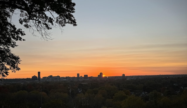 226 Sunset Ave NW, Grand Rapids, MI 49504 - view of nature