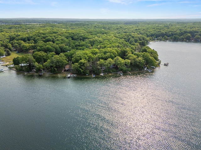 10481 Midshore Dr, Mecosta, MI 49332 - photo 2