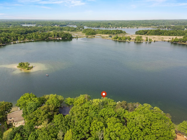 10481 Midshore Dr, Mecosta, MI 49332 - photo 4