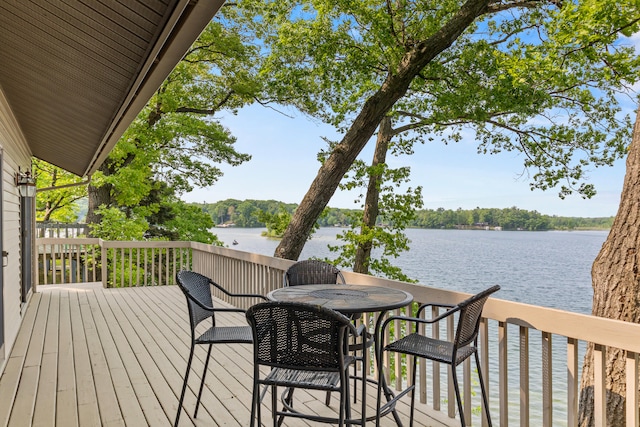10481 Midshore Dr, Mecosta, MI 49332 - photo 36
