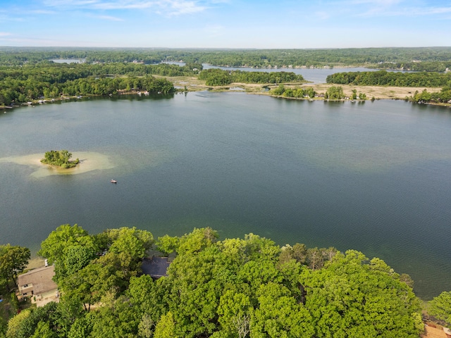 10481 Midshore Dr, Mecosta, MI 49332 - photo 38
