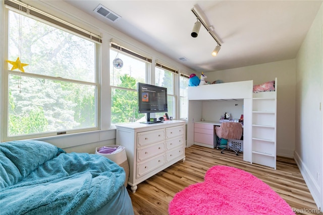 29899 E River Rd, Grosse Ile, MI 48138 - bedroom with rail lighting and light wood finished floors