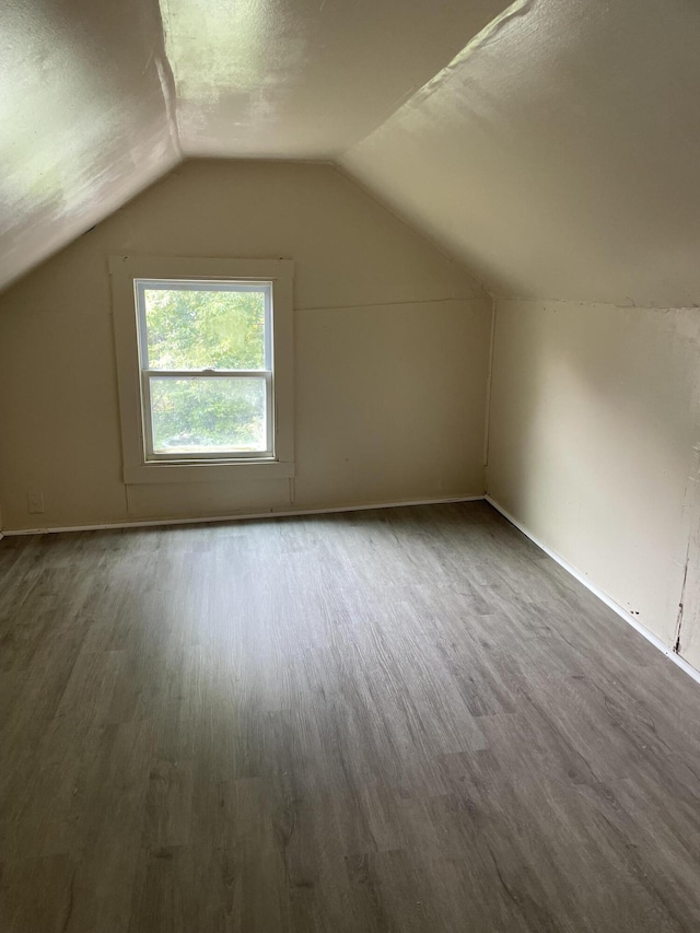 1122 Prospect St, Lansing, MI 48912 - bonus room featuring wood finished floors, vaulted ceiling, and a textured ceiling