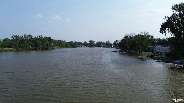 3117 Morin Point St, Erie, MI 48133 - water view