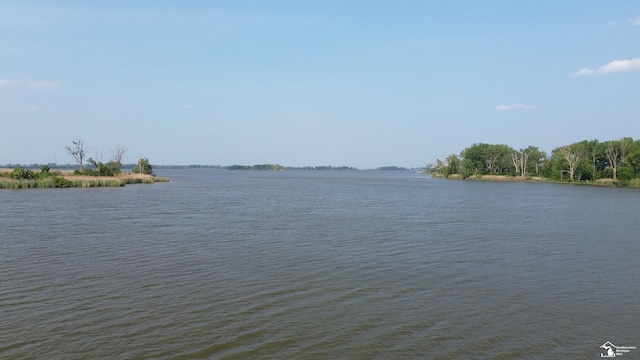 3117 Morin Point St, Erie, MI 48133 - water view