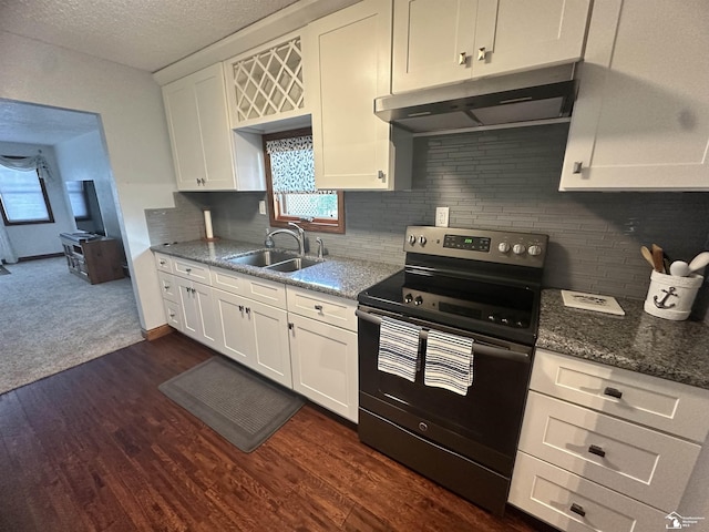 3117 Morin Point St, Erie, MI 48133 - kitchen featuring range with electric stovetop, under cabinet range hood, a sink, white cabinetry, and dark wood-style floors