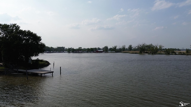 3117 Morin Point St, Erie, MI 48133 - water view with a dock