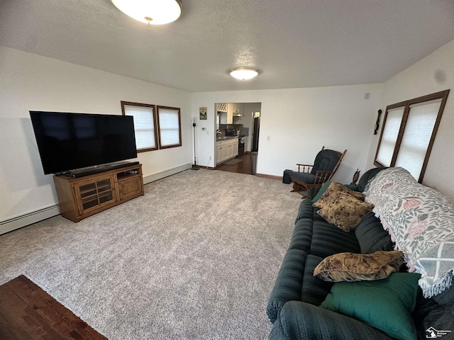 3117 Morin Point St, Erie, MI 48133 - living room featuring a baseboard radiator, carpet, baseboards, and a textured ceiling