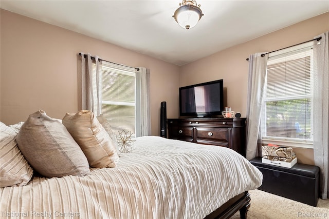 17710 Trinity St, Detroit, MI 48219 - bedroom featuring carpet