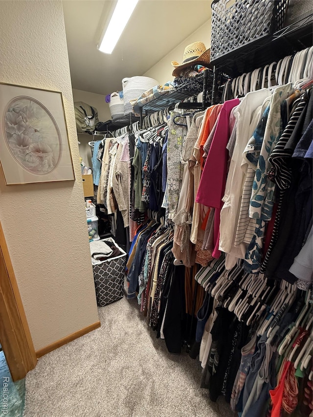 3454 Pine St, Hale, MI 48739 - walk in closet with carpet floors