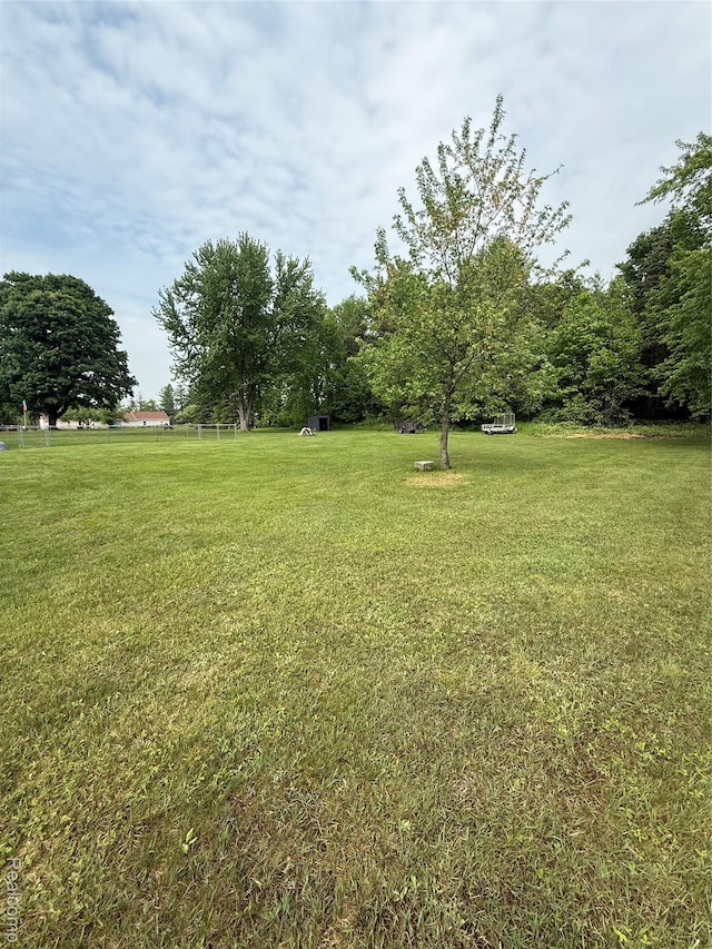 3454 Pine St, Hale, MI 48739 - view of grassy yard