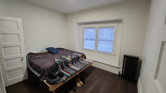 320 W Vine St, Kalamazoo, MI 49001 - bedroom with radiator, dark wood finished floors, and baseboards