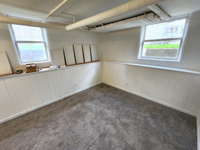 320 W Vine St, Kalamazoo, MI 49001 - basement featuring healthy amount of natural light, carpet flooring, and a wainscoted wall