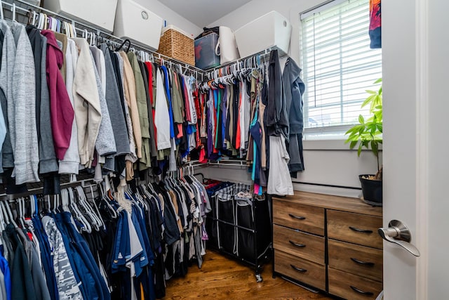 1640 Prairie Dr, Saint Joseph, MI 49085 - walk in closet featuring wood finished floors