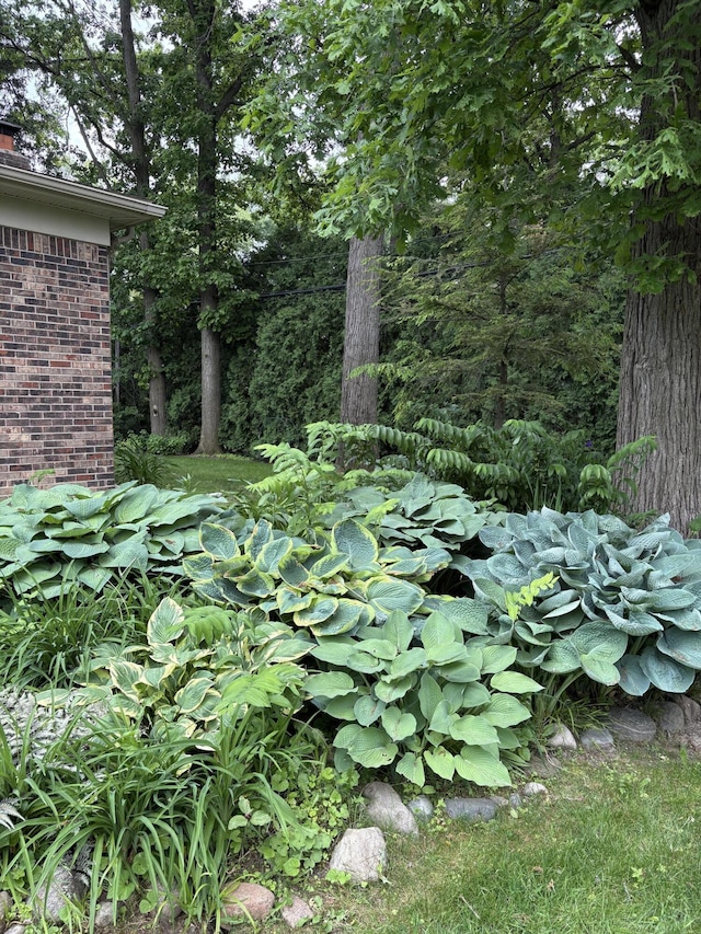 3481 Witherbee Dr, Troy, MI 48084 - view of nature