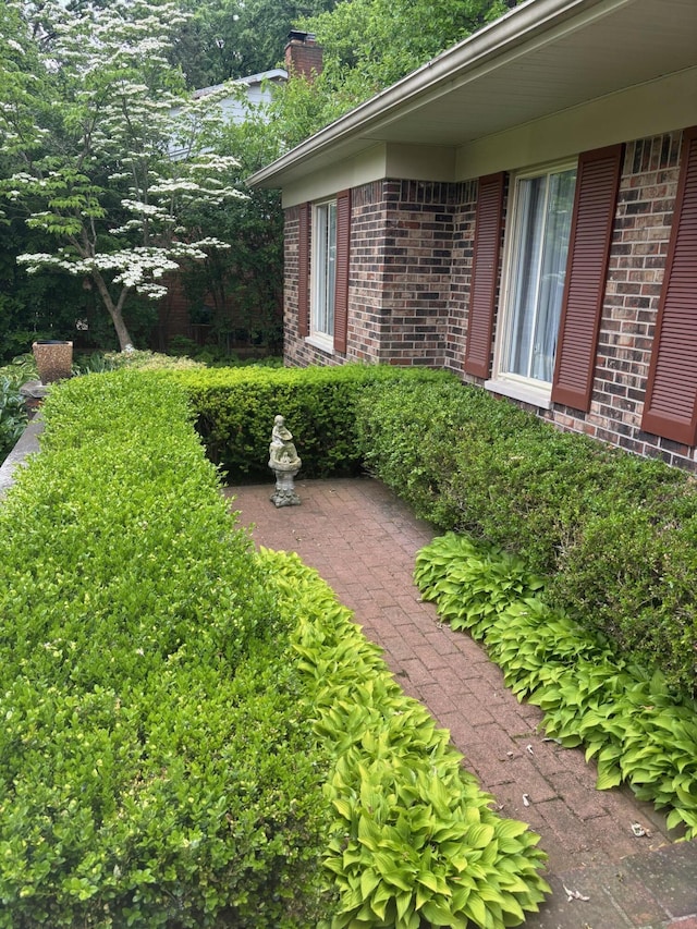 3481 Witherbee Dr, Troy, MI 48084 - view of yard