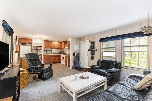 377 E Bear Lake Rd, Kalkaska, MI 49646 - photo 10