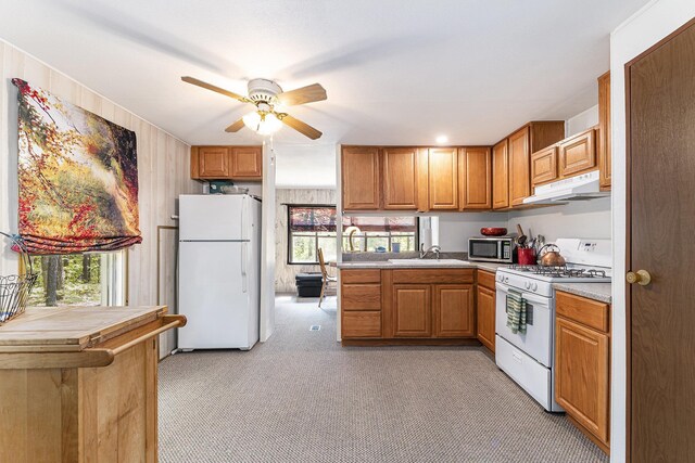 377 E Bear Lake Rd, Kalkaska, MI 49646 - photo 7