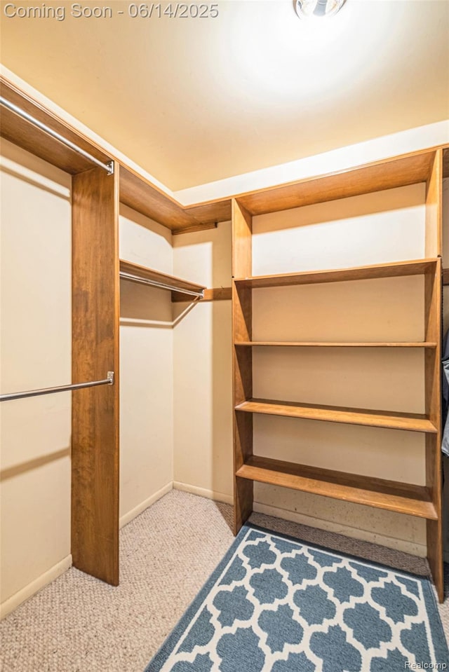 9818 Burning Tree Dr, Grand Blanc, MI 48439 - walk in closet featuring carpet