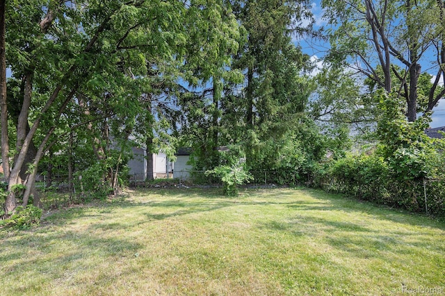 18930 Curtis St, Highland Park, MI 48219 - view of yard