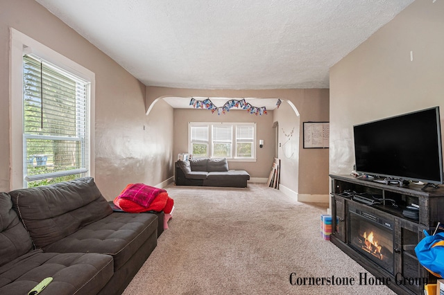503 E Main St, Middleville, MI 49333 - living area featuring arched walkways, carpet flooring, baseboards, and a textured ceiling