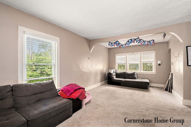 503 E Main St, Middleville, MI 49333 - carpeted living area featuring baseboards, a textured ceiling, and arched walkways