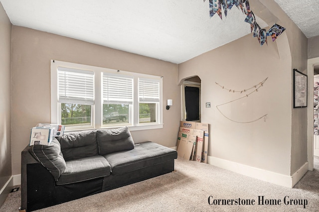 503 E Main St, Middleville, MI 49333 - living room featuring arched walkways, carpet flooring, a textured ceiling, and baseboards
