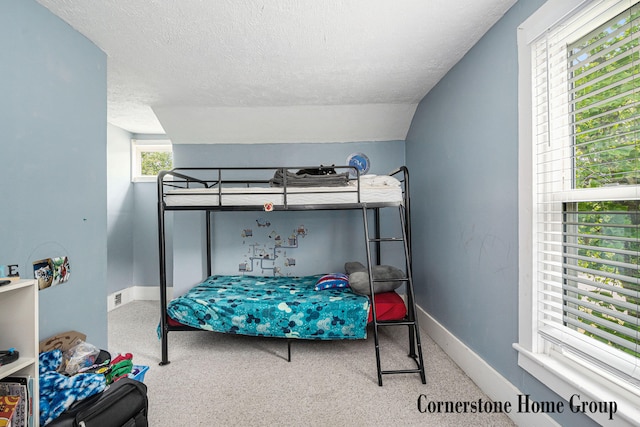 503 E Main St, Middleville, MI 49333 - bedroom with carpet, a textured ceiling, baseboards, and lofted ceiling