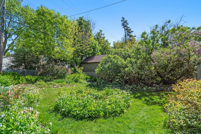 1308 Linwood Ave, Ann Arbor, MI 48103 - view of yard